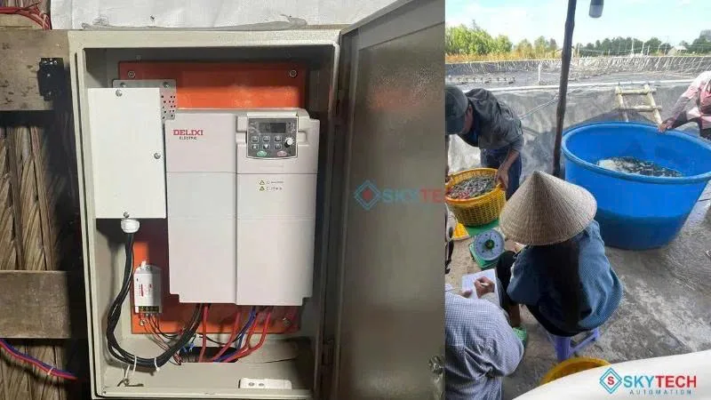 Lắp đặt biến tần Delixi cho máy bơm sục oxy